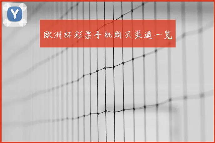 欧洲杯彩票手机购买渠道一览