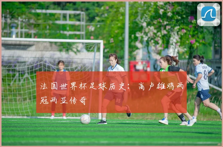 法国世界杯足球历史：高卢雄鸡两冠两亚传奇