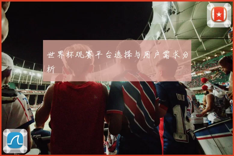 世界杯观赛平台选择与用户需求分析
