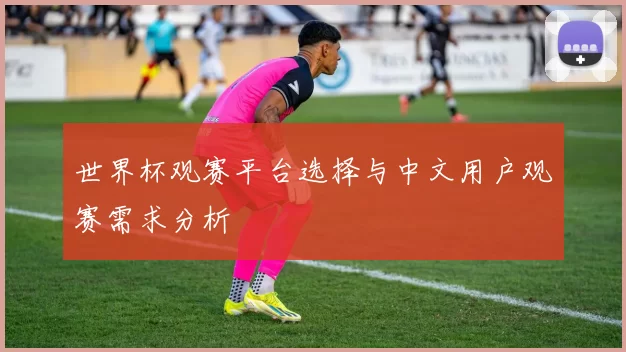 世界杯观赛平台选择与中文用户观赛需求分析